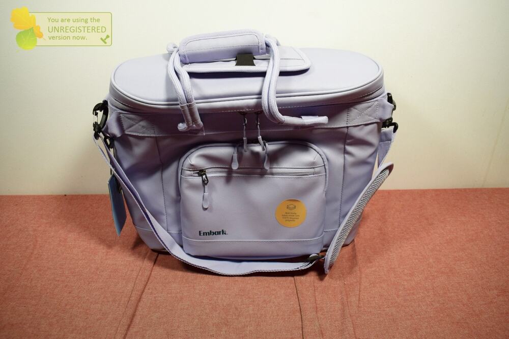 Embark 23qt Soft Sided Cooler Lilac Purple